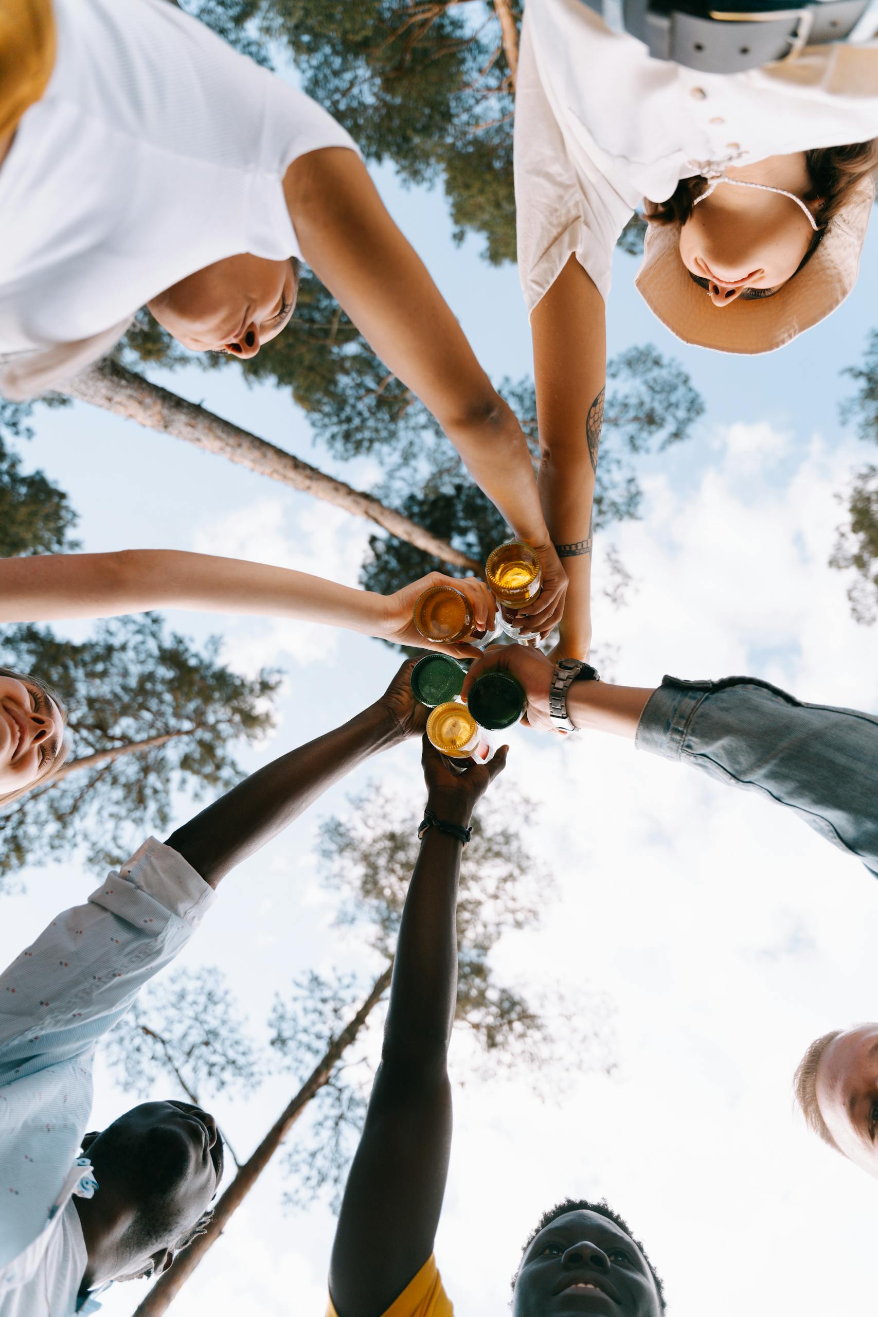 A diverse group of friends clinking glasses under pine trees, celebrating outdoors.